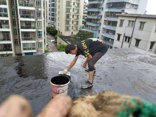 惠州市博羅外墻高空補漏 專業(yè)防水補漏工程公司的技術(shù)實踐
